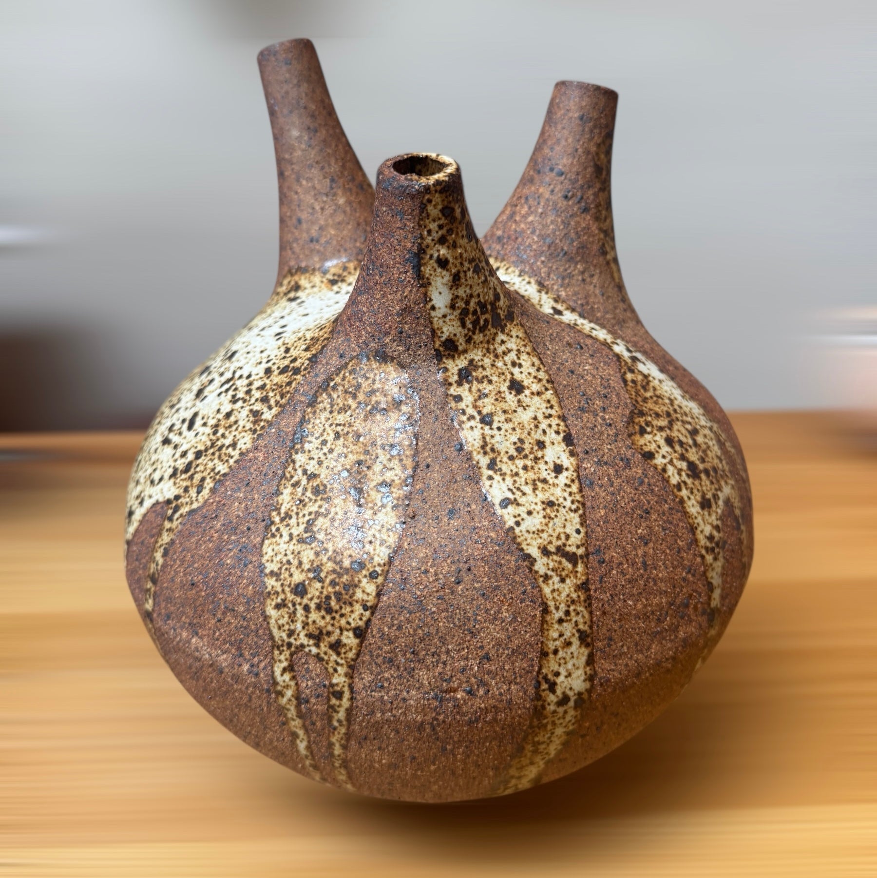FullSizeRender_5ff25bc9-03ad-4b16-be90-49ddb4862924